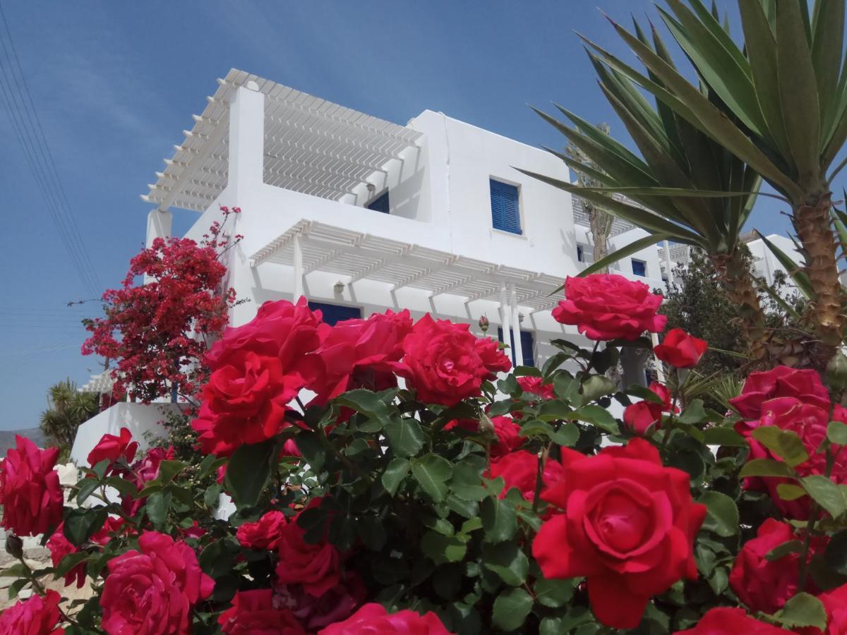 Nicos Studios & Apartments Logaras Exterior photo